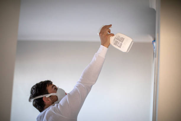Best Bathroom Mold Remediation in Albemarle, NC