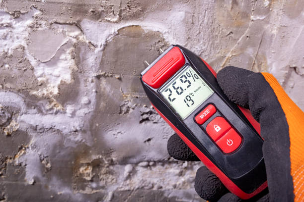Best Localized Mold Remediation (e.g., coastal areas, humid climates) in Albemarle, NC