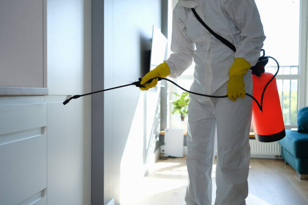 Best Health and Safety Mold Remediation in Albemarle, NC